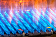 Cwrt Henri gas fired boilers
